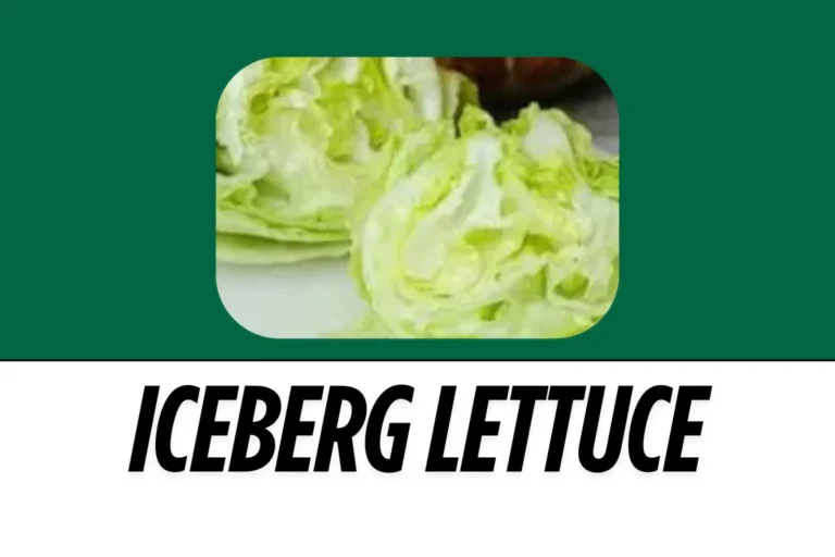 Iceberg-Lettuce-image-harvestermenuuk.com